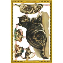 Mixed Victorian Tabby Cat Scraps ~ England